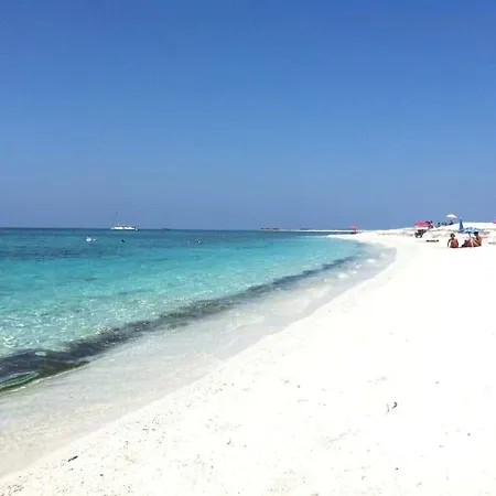 Gasthof Trasicca Brunella