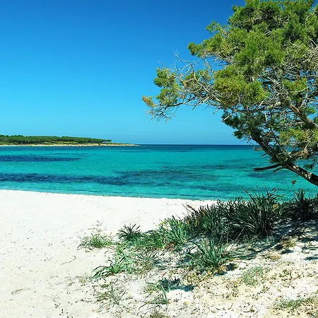 Vendégház Trasicca 3*