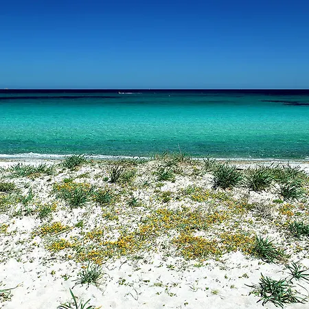 Vendégház Trasicca Brunella