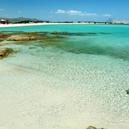 Trasicca 3* Brunella