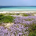 Pensjonat Trasicca Brunella