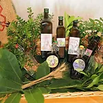 Pensjonat Trasicca Brunella