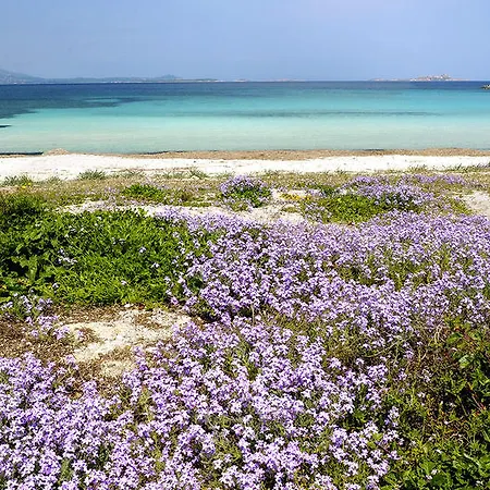 Gæstehus Trasicca Brunella