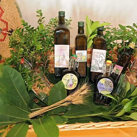 Guest house Trasicca Brunella